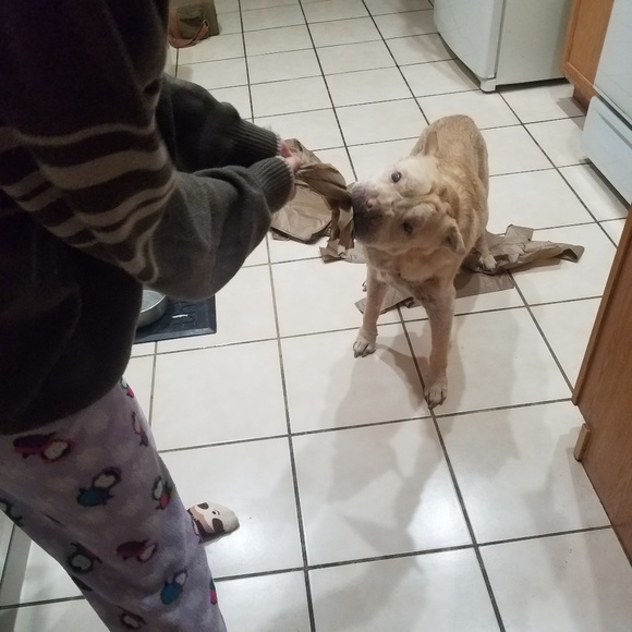 READ Before You Offer Or Buy - Picture 6 of 15